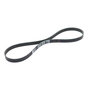 Banda Accesorios RAV4 2019-2025 Keep On Green