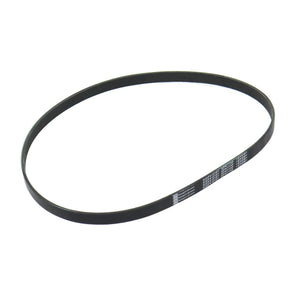 Banda Accesorios RAV4 2019-2025 Keep On Green