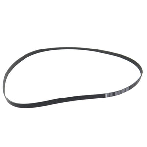 Banda Accesorios RAV4 2001-2008 Keep On Green