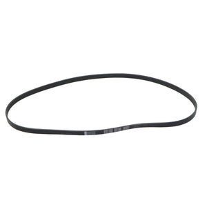 Banda Accesorios Sorento 2014-2015 Keep On Green