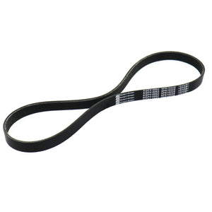 Banda Accesorios Figo 2015-2018 Keep On Green
