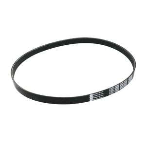 Banda Accesorios Figo 2015-2018 Keep On Green