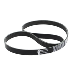 Banda Accesorios Sentra 2011-2019 Keep On Green