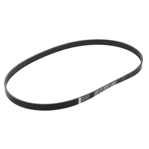 Banda Accesorios Sentra 2011-2019 Keep On Green