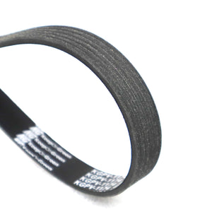 Banda Accesorios Sentra 2011-2019 Keep On Green