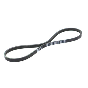 Banda Accesorios Sentra 1986-2006 Keep On Green