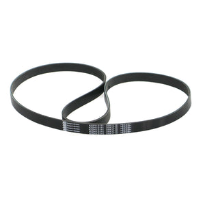 Banda Accesorios Civic 2015-2025 Keep On Green