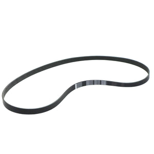 Banda Accesorios Civic 2015-2025 Keep On Green