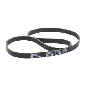 Banda Accesorios Sonic 2013-2021 Keep On Green