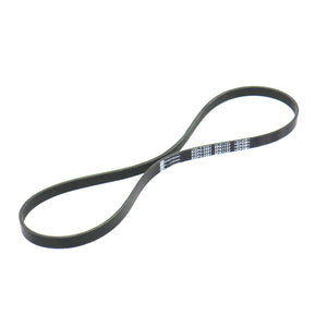 Banda Accesorios Fit 2006-2014 Keep On Green