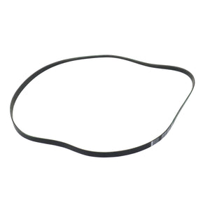 Banda Accesorios Civic 2015-2021 Keep On Green