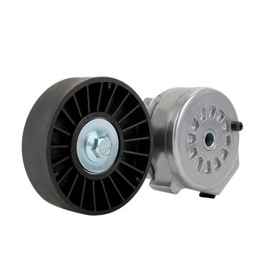 Tensor De Accesorios Buick Century 3.1 1994-2005