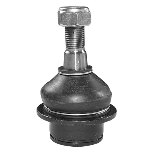 Rotula Delantero Inferior P/ Dodge Dakota 2005-2010 3.7 V6