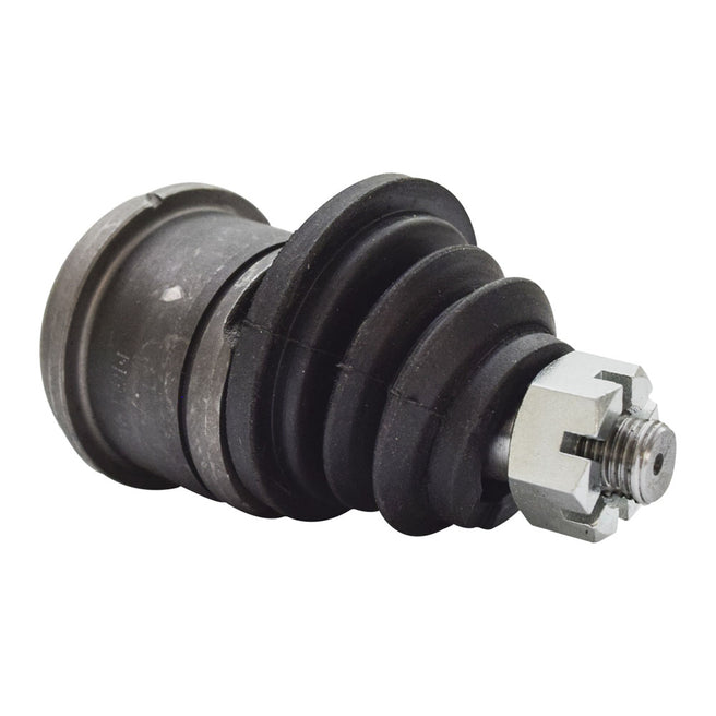 Rotula Delantero Superior P/ Ford Expedition 1997-2002 5.4 V8