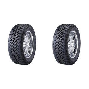 Paquete de 2 Llantas LT295/70 R17 121/118Q WINRUN MT305