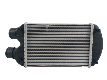 Intercooler Fiat Bravo 09-09