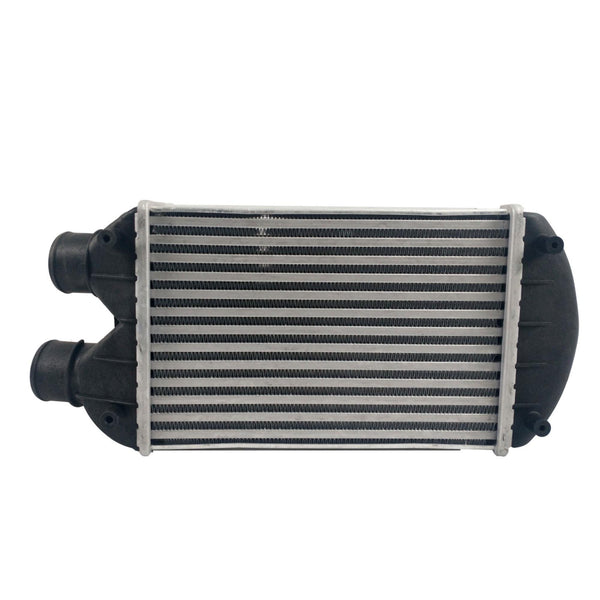 Intercooler Fiat Bravo 09-09