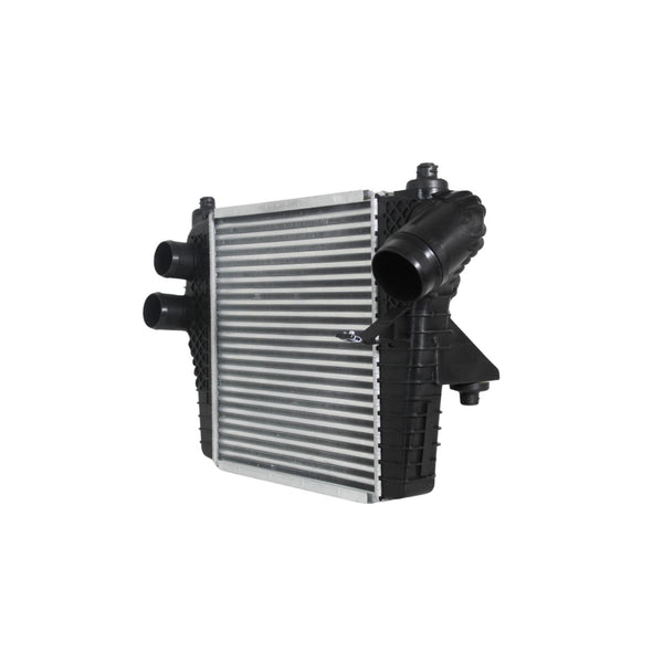 Intercooler Ford F-150 11-12
