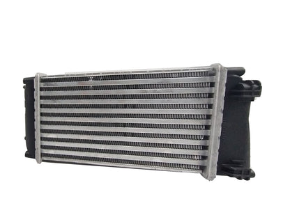Intercooler Peugeot 307 04-13