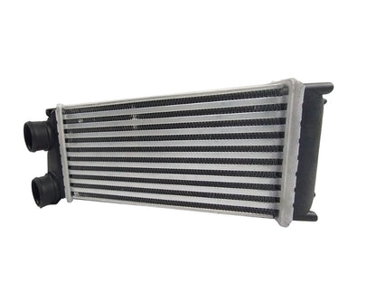 Intercooler Peugeot 307 04-13