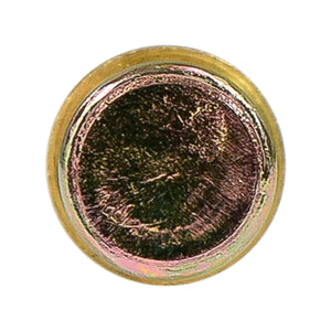 Perno Bisagra de Puerta Delantero Amarillo S10 82-94