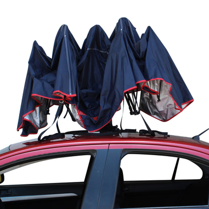 Sombrilla automatica para auto