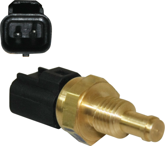 Sensor Temperatura P/ Ford Escort 1998-2001 2.0 L4