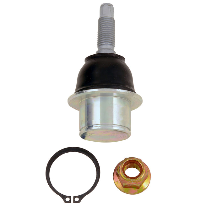 Rotula Delantero Inferior   Ford Expedition 2003-2006 V8 5.4L