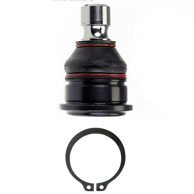 Rotula Delantero Inferior   Nissan Murano 2003-2008 V6 3.5L