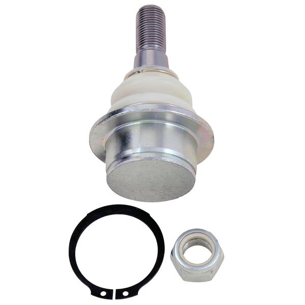 Rotula Delantero Inferior P/ Dodge Dakota 2005-2012 V6 3.7L